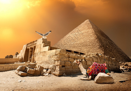 金字塔入口的废墟附近有骆驼图片