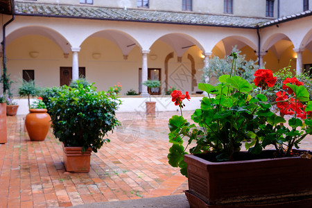 旧意大利式风格的花院图片