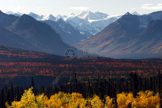 山传入登那利脉后退阿拉斯加的秋季图片