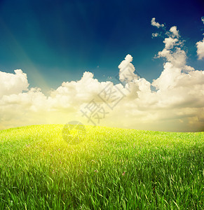 草和深蓝天空自然构成图片