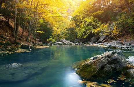 秋天森林中的湖自然构成图片