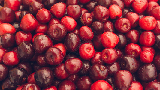 Cherry水果背景图片