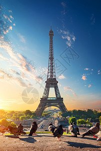 Eiffel铁塔和鸽子日出在法国巴黎图片