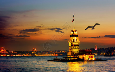 在土耳其伊斯坦布尔日落时在MaidensTower附近漂浮的海鸥图片