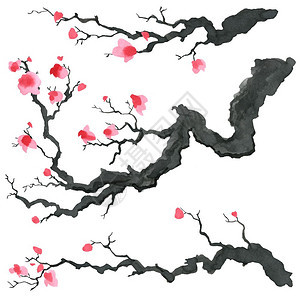 日本绘画风格的樱树传统美丽的水彩手画图日本绘风格的樱树图片
