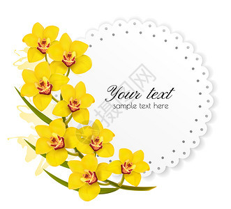 黄色花朵的漂亮礼品卡图片
