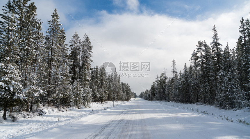 森林雪地的道路图片