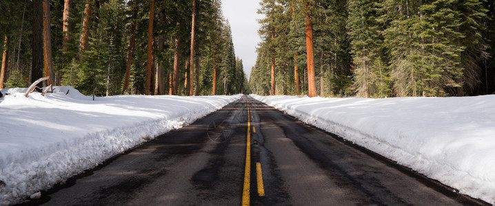 森林里道路正在干涸图片