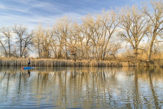 在一个平静的湖上在科罗拉多北部的初春风景中起立在一片平静的湖上划桨板图片