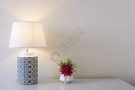 白色墙背景上挂有桌灯的美丽花朵图片