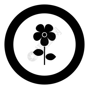 孤立的圆矢量插图中的鲜花标黑色颜图片