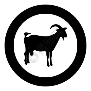 孤立的圆矢量插图中的山羊黑色标图片