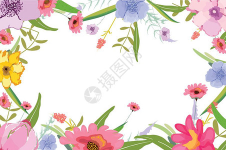 矢量花卉背景图片