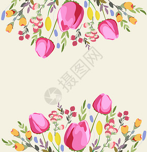 贺卡花朵插图用古代风格的田地花朵春夏图片