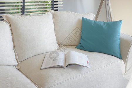 关于白沙发和客厅绿枕头的书图片