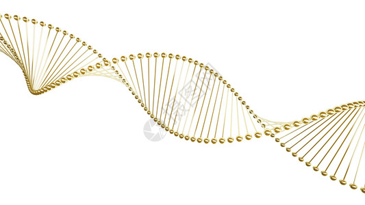 DNA医疗保健和学以及技术的金螺旋模型卫生保健和医学的金螺旋模型白色背景的医学和技术概念的金螺旋模型3d插图图片