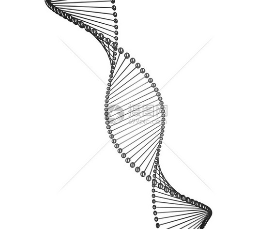 DNA医卫和学及技术共同体的螺旋模型白背景的医卫和学及技术概念的螺旋模型3d背景图解DNA3d背景图解图片