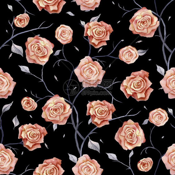 手画玫瑰的无缝图案玫瑰手画花的图案水彩画古典风格图片