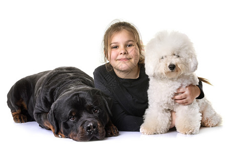 白色背景面前的年轻女孩和狗图片