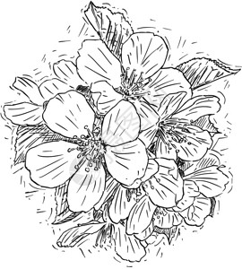 一群记者矢量艺术说明或绘画一群花朵矢量艺术笔和墨水画插图一堆花樱