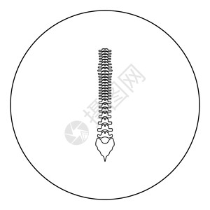 插画  |在美丽的城市公园骑自行车矢量插画立即下载照片  |工作室老