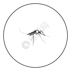 圆形大纲矢量插图中的蚊子标黑颜色图片