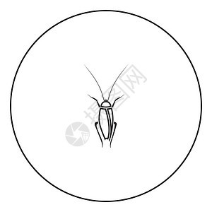 圆形大纲矢量插图中的蟑螂标黑色颜图片