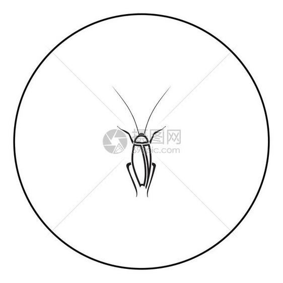 圆形大纲矢量插图中的蟑螂标黑色颜图片