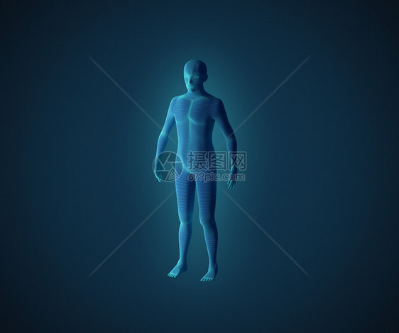 男肌肉系统的解剖蓝色人类有线框架全息图3d插蓝色人类有线框架全息图图片
