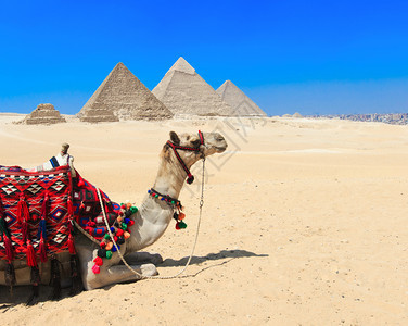 埃及开罗的金字塔和埃及开罗的吉萨美丽天空埃及开罗的吉萨美丽金字塔和吉萨美丽的天空图片