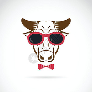 在白色背景上戴墨镜的牛矢量图像背景图片