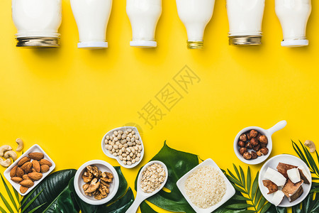 免费乳奶替代饮料和黄色背景的原料平铺Vegan素食清洁饮概念免费奶制品替代饮料和原图片
