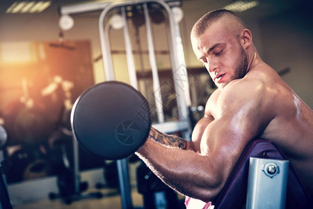 肌肉人和哑铃一起工作手臂训练在健身房里举重运动和体力建设肌肉人在健身房里工作图片