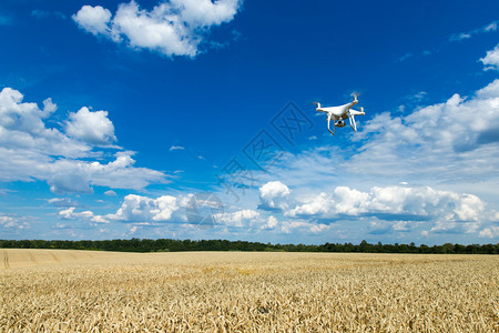 无人驾驶飞机越过小麦田上空图片