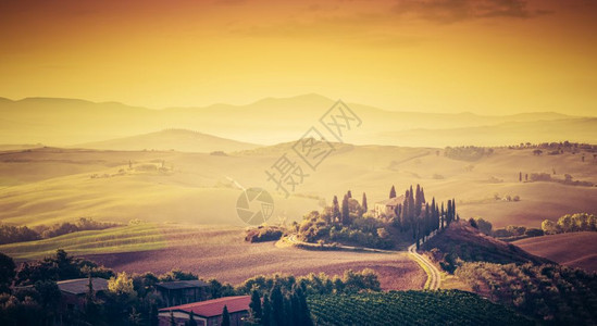 意大利的托斯卡纳意大利的景色日出时超高品质全景葡萄园山丘农舍日出时的超高品质全景图片