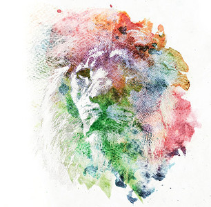 狮子水彩画摘要色艺术独特彩色艺术图片