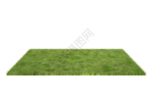 在白色背景上隔离的草原场3D插图图片
