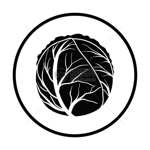 卷心菜图标细圆设计矢量图解