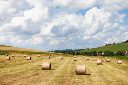 农业田地上带稻草的景观图片