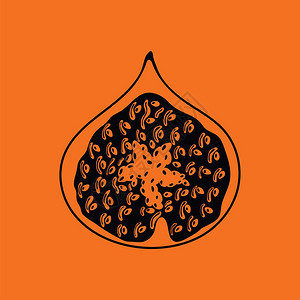 Fig水果图标橙色背景黑矢量插图图片