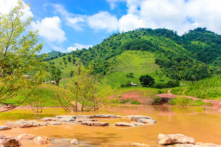 越南北部平坦的景观越南SonLa省MocChauPlateau图片