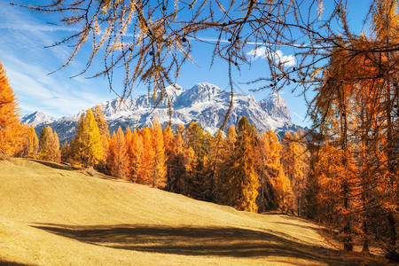 多洛米特阿尔卑斯山的阳光景色上面有黄的领红树秋天风景多彩的山地观意大利秋季风景多彩的天色意大利图片
