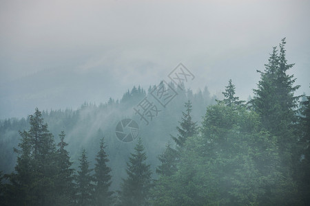 在多云雨的黑暗气候下绿山林图片