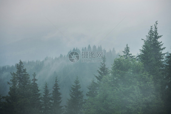 在多云雨的黑暗气候下绿山林图片