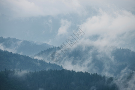 美国Smoky山丘公园多云和下雨的黑暗气候天中的绿色山林图片