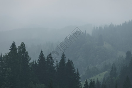 美国Smoky山丘公园多云和下雨的黑暗气候天中的绿色山林图片