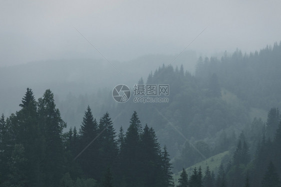 美国Smoky山丘公园多云和下雨的黑暗气候天中的绿色山林图片