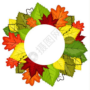 秋叶颜色的矢量说明自然叶的背景秋颜色的季图片