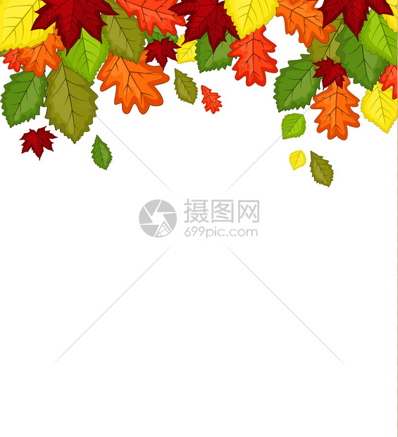 秋叶颜色的矢量说明自然叶的背景秋颜色的季插画图片下载 正版图片 摄图网