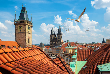 夏季日布拉格和廷斯基大教堂的钟声响起图片